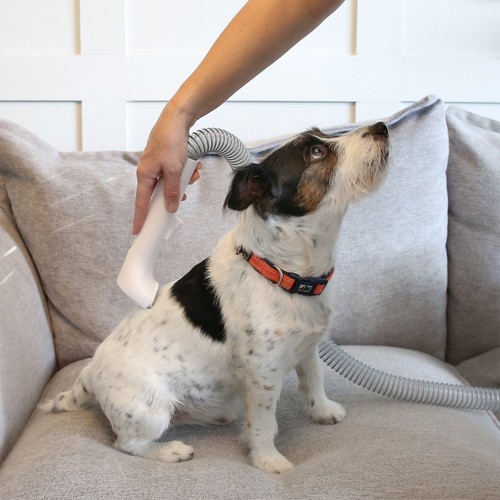 Pet grooming vacuum kit - pet,
