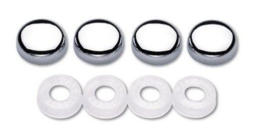 License plate security screw - plate,