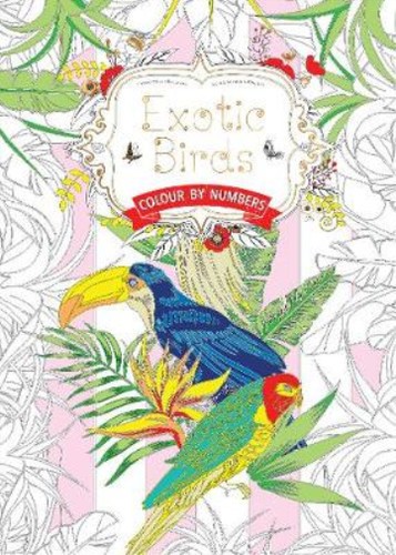 Exotic birds colouring - exotic,