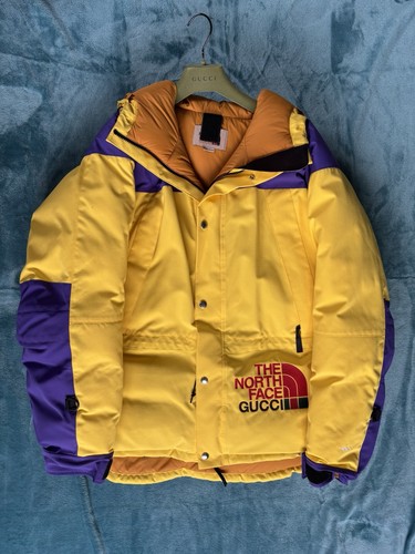 North face gucci jacket - north,