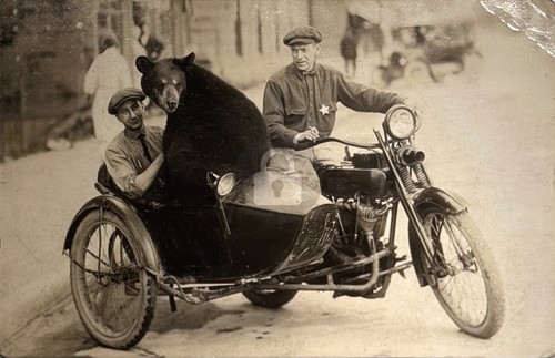 Harley davidson motorcycle - harley,