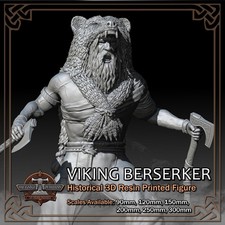 Viking Berserker Warrior -