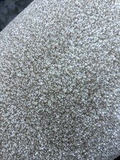 14 Soft Beige Cream Carpet