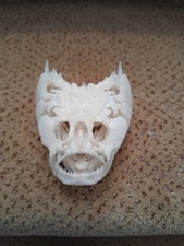 Taxidermy skeletons bone tattoo voodoo marine fish SKULL MEDITERRANEAN STARGAZER