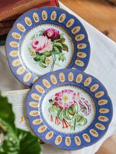 Pair Of Antique 19th English Porcelain Plate, Painted Botanical Florals In Blue