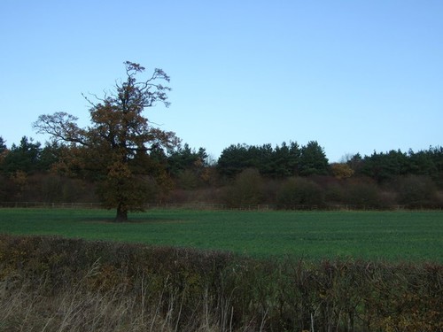 Photo 6x4 farmland near - photo,