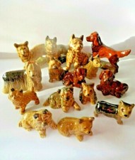 Wade  - DOGS & PUPPIES  - CHOOSE THE ONE YOU WANT 