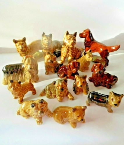 Wade dogs puppies - dogs,