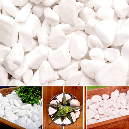 Decorative garden stones - garden,