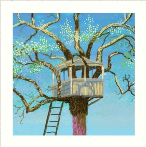 David hockney the - hockney, of