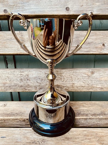 Silver trophy 9 - 🏆,