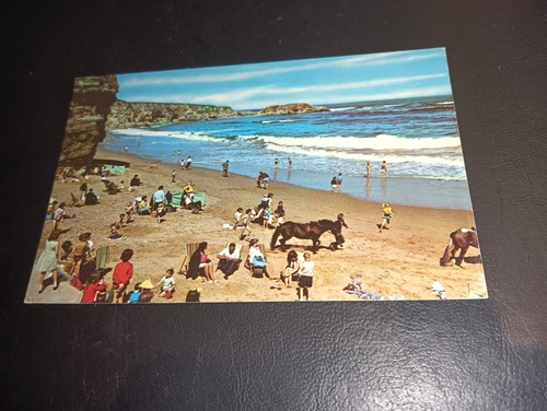 Busy scene marsden - marsden, beach,