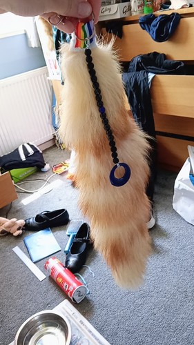 Golden island fox tail - fox,