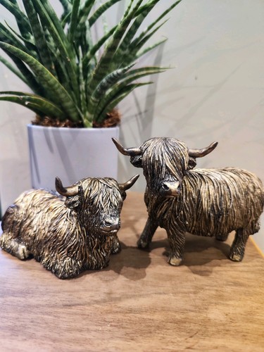 Pair highland cow - highland,