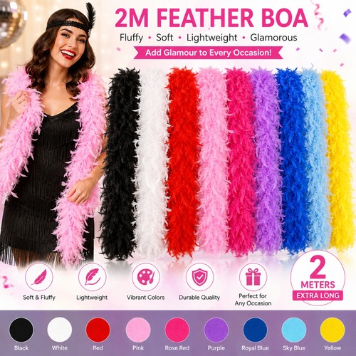 Feather boa costume - boa,