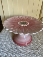 Maxcera PINK DAISY Floral