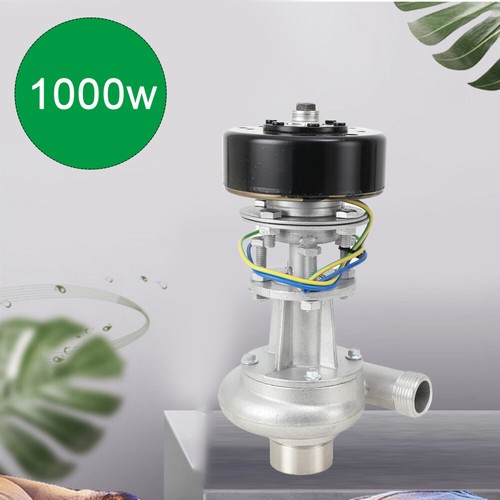 1000w snail impact - snail,