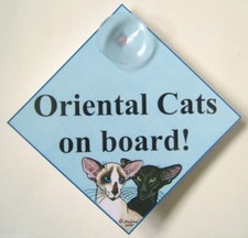 ORIGINAL DESIGN ORIENTAL CAT