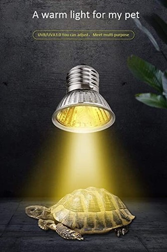 Tortoise heat lamp - heat,