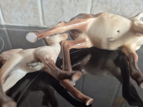Berwick doe and fawn - berwick,