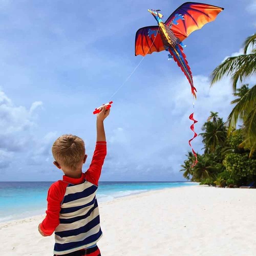 Dragon kite with - dragon,