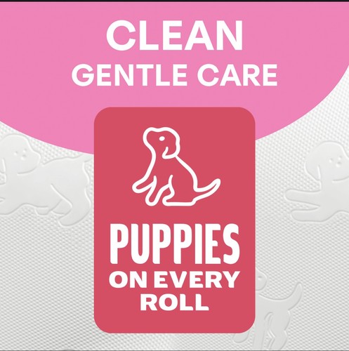 Andrex family soft - family,