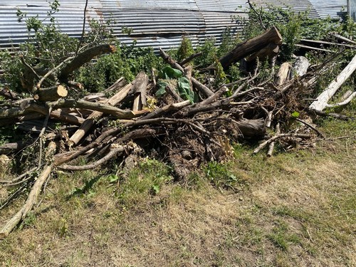 Logs