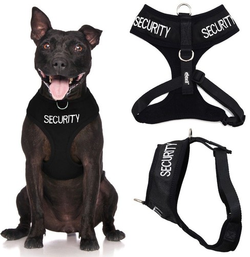 Security black non - non, pull