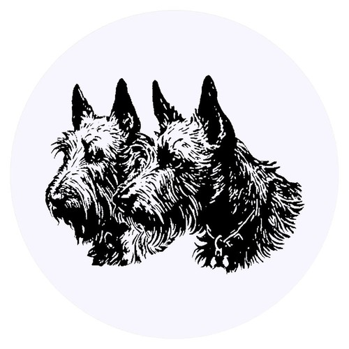 Scottish terrier couple - 24, 'scottish