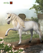 Lipizzaner Horse Toy Model