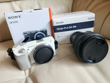 Sony A6100 & Sigma 16mm F1.4