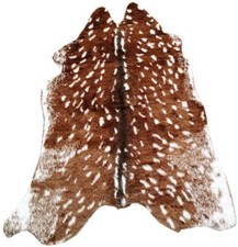 Zebra Tiger Leopard Cow Hide