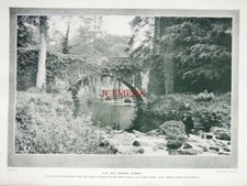 SAW MILL BRIDGE, Borris : Original 1924 'Britain Beautiful' Photo Print