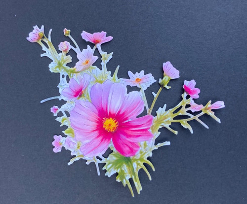The studio cosmos - studio, 'cosmos