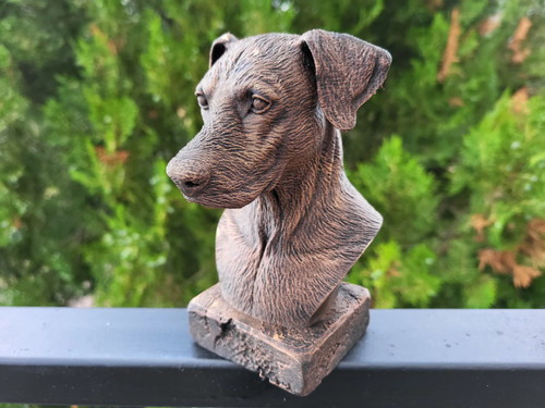 Doberman bust - doberman,