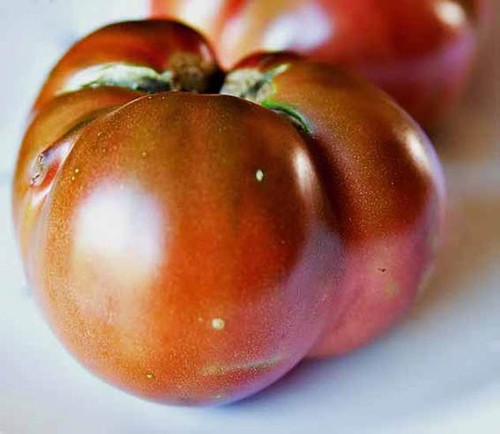 Tomato cherokee purple 30 - -,
