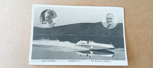 Vintage postcard bluebird - vintage, of