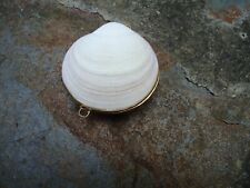 Shell Coin Purse Beach Art
