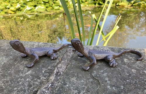 Pair metal gecko - of, lizard