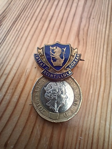 Rare vtg royal humane - humane, society