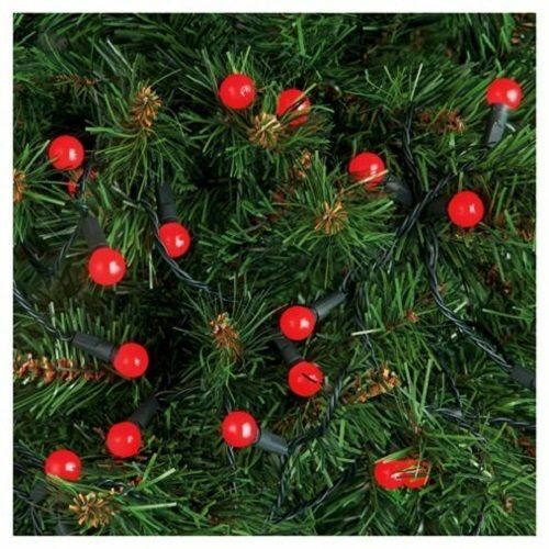 100 red berry - red, christmas