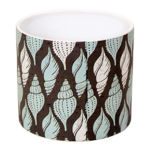 Tulip shell pot - shell,