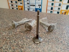 BMC 2.5 Diesel Inlet Valve SET