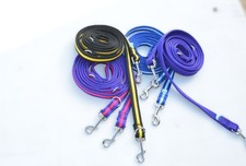 Long Dog Training Lead 