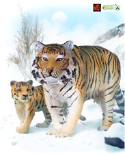 Siberian Tiger and Cub