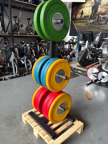 260 ziva olympic weight - 260,