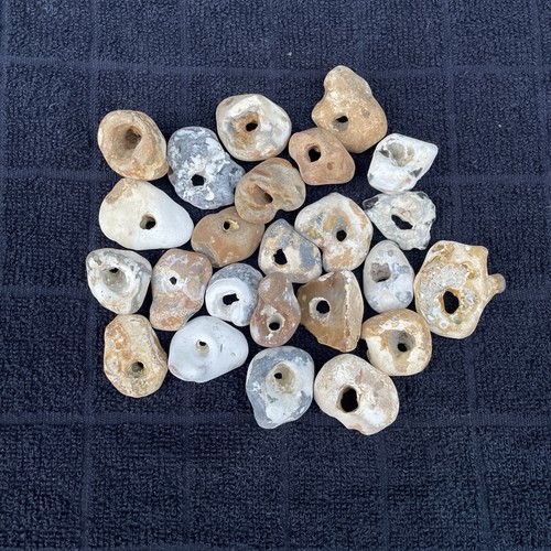 Twenty natural hag stones - natural,