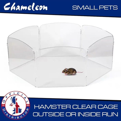 Paneled clear plastic - clear, 8