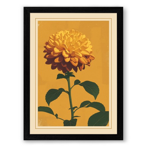 Golden chrysanthemum botanical - chrysanthemum,