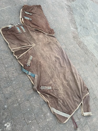 6ft 450g premier - 6ft, equine